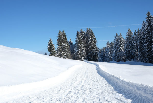 Oberstaufen-Winter