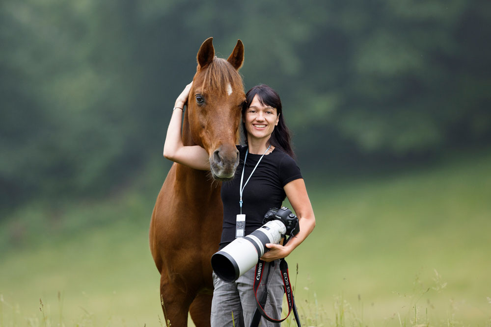 Pferdefotografie