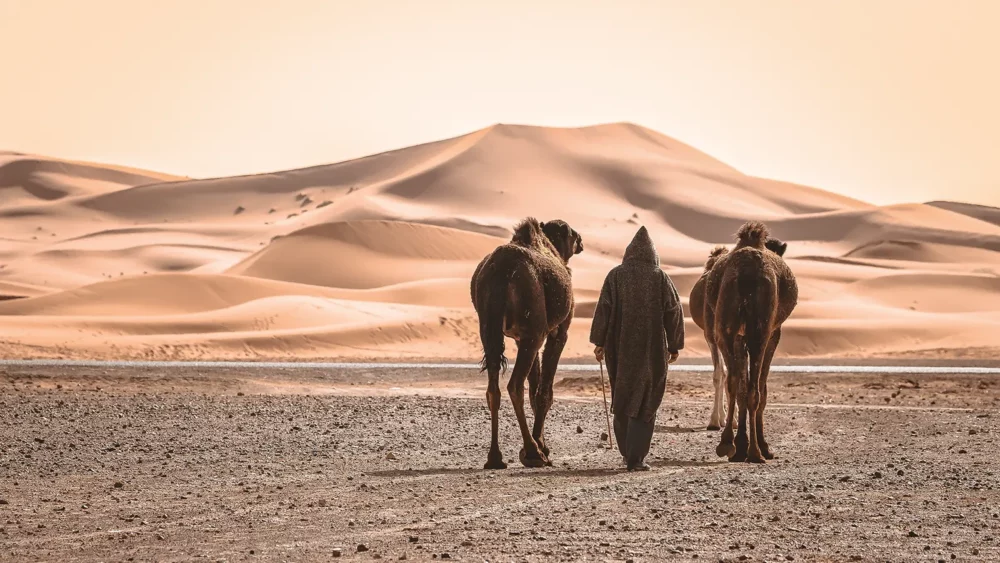 Sahara