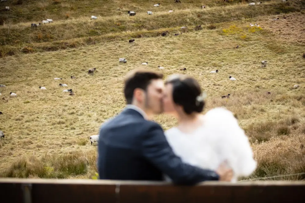 Brautpaar-vor-Schafen-Im-Schwarzwald-Hochzeitsfotograf-Daniel-Bollinger-Steinborn